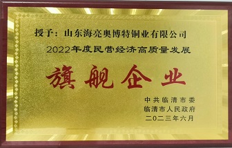 牛！山东海亮荣获“2022年度民营经济高质量发展旗舰企业”称号